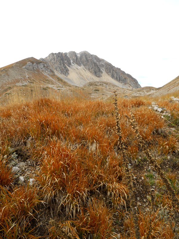 Viaggio Sul Monte Terminillo